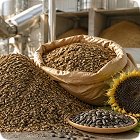 Assortment Image